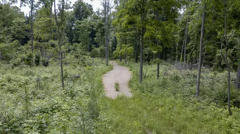 685 Gulick Rd, Haslett, MI 48840 photo 66