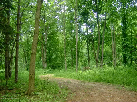 685 Gulick Rd, Haslett, MI 48840 photo 17