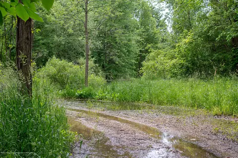 685 Gulick Rd, Haslett, MI 48840 photo 42