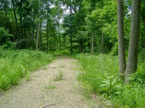 685 Gulick Rd, Haslett, MI 48840 photo 24
