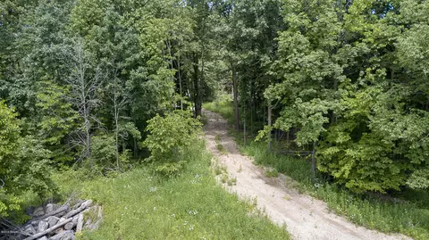 685 Gulick Rd, Haslett, MI 48840 photo 55