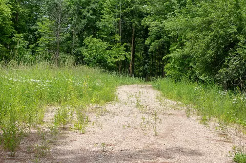 685 Gulick Rd, Haslett, MI 48840 photo 37