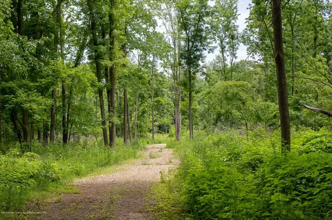 685 Gulick Rd, Haslett, MI 48840 photo 50