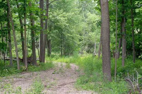 685 Gulick Rd, Haslett, MI 48840 photo 38