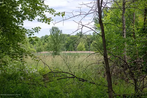685 Gulick Rd, Haslett, MI 48840 photo 52