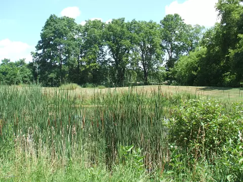 7782 N Welling Rd, Eureka, MI 48833 photo 11