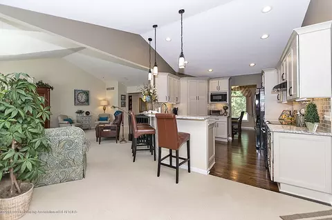 13053 Primrose Ln, Dewitt, MI 48820 photo 6