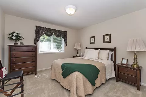 13053 Primrose Ln, Dewitt, MI 48820 photo 20