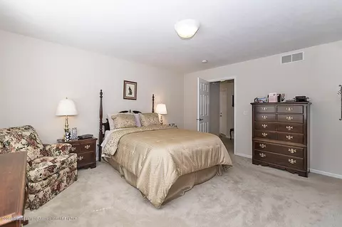 13053 Primrose Ln, Dewitt, MI 48820 photo 16