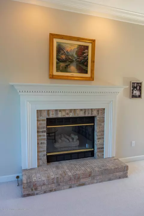11725 Schavey Rd, Dewitt, MI 48820 photo 19