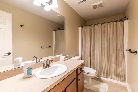 11840 Murano Dr, Dewitt, MI 48820 photo 26