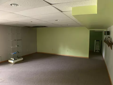 348 E Dexter Trl, Mason, MI 48854 photo 25