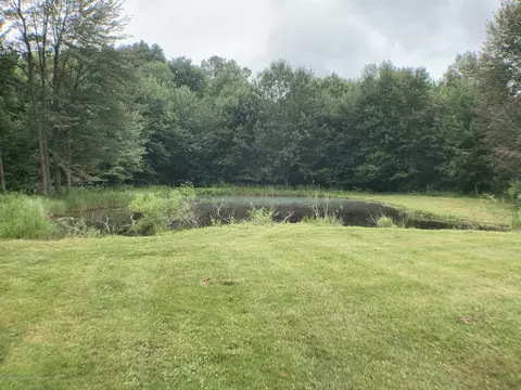 348 E Dexter Trl, Mason, MI 48854 photo 6