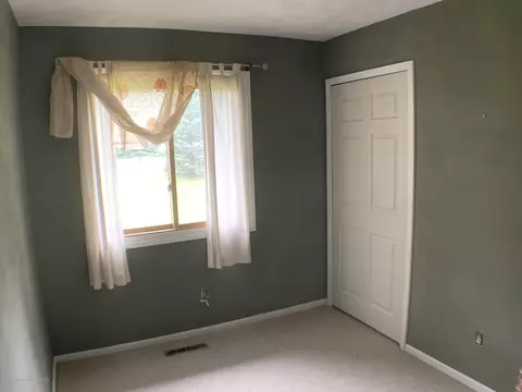 348 E Dexter Trl, Mason, MI 48854 photo 19