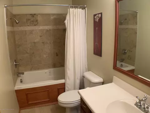 348 E Dexter Trl, Mason, MI 48854 photo 18