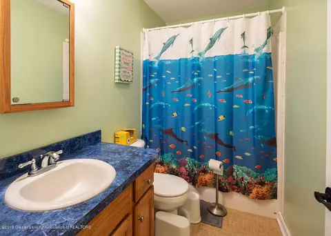 1623 E Maple Rapids Rd, Saint Johns, MI 48879 photo 21