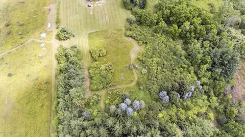 8843 W Howe Rd, Eagle, MI 48822 photo 56