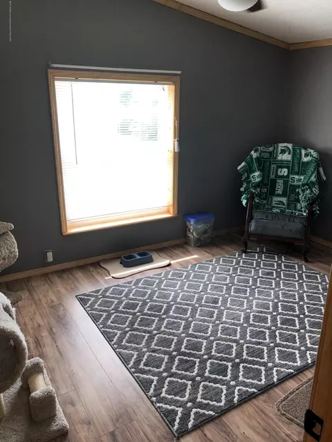 3951 E Miller Rd, Bancroft, MI 48414 photo 26