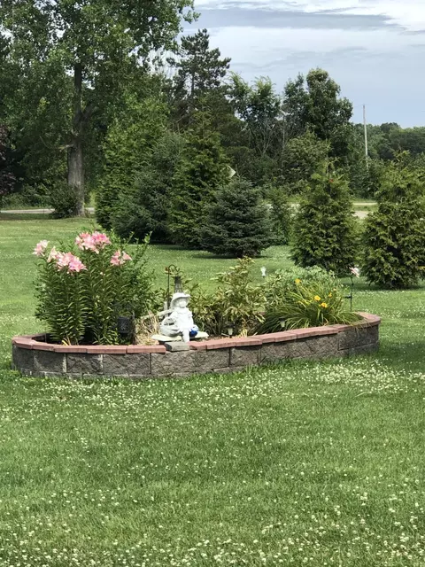3951 E Miller Rd, Bancroft, MI 48414 photo 33