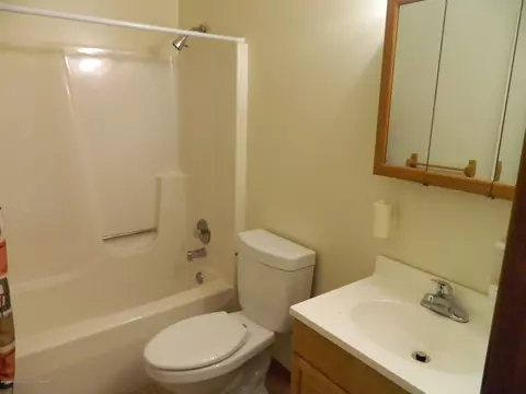 1925 Eifert Rd, Holt, MI 48842 photo 22