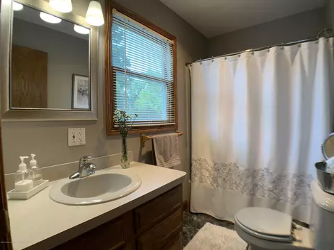 13271 Blackwood Dr, Dewitt, MI 48820 photo 33