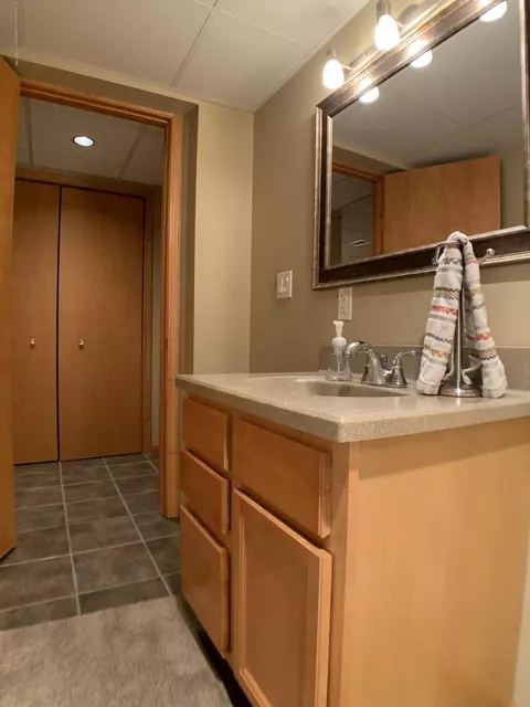 13271 Blackwood Dr, Dewitt, MI 48820 photo 51
