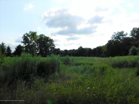 400 S Aurelius Rd, Mason, MI 48854 photo 28