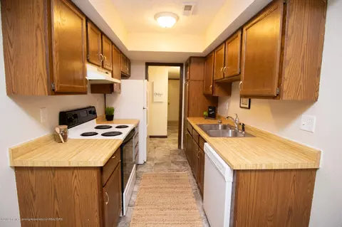 1810 Nemoke Trl, Haslett, MI 48840 photo 10