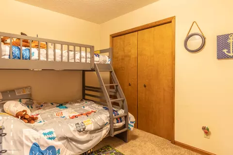 13210 White Pine Dr, Dewitt, MI 48820 photo 22