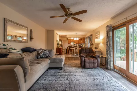 13210 White Pine Dr, Dewitt, MI 48820 photo 19