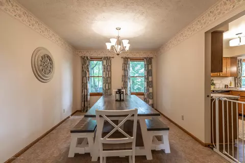 13210 White Pine Dr, Dewitt, MI 48820 photo 10