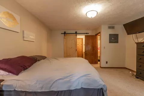 13210 White Pine Dr, Dewitt, MI 48820 photo 31