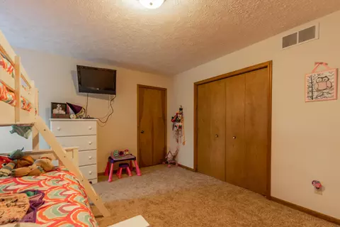 13210 White Pine Dr, Dewitt, MI 48820 photo 27