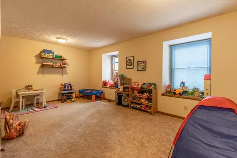 13210 White Pine Dr, Dewitt, MI 48820 photo 24