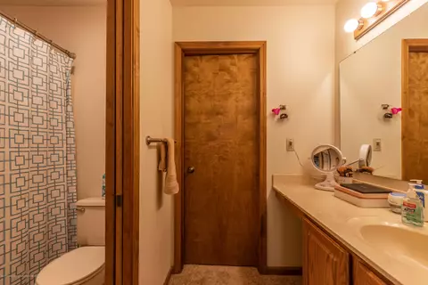 13210 White Pine Dr, Dewitt, MI 48820 photo 29