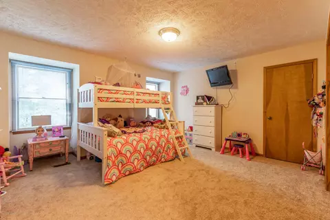 13210 White Pine Dr, Dewitt, MI 48820 photo 26