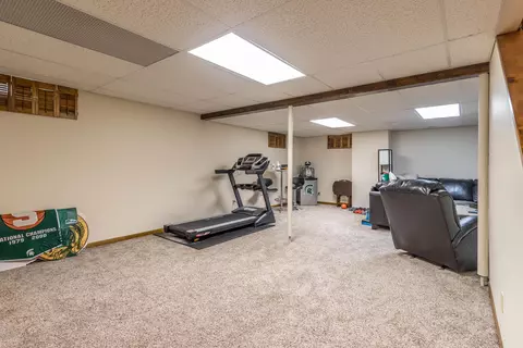 13210 White Pine Dr, Dewitt, MI 48820 photo 35