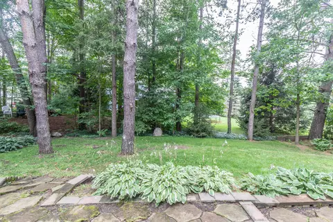 13210 White Pine Dr, Dewitt, MI 48820 photo 42