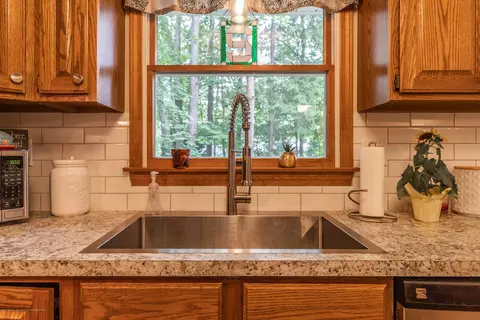 13210 White Pine Dr, Dewitt, MI 48820 photo 14