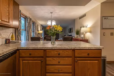 13210 White Pine Dr, Dewitt, MI 48820 photo 15
