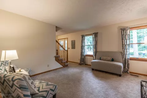 13210 White Pine Dr, Dewitt, MI 48820 photo 8