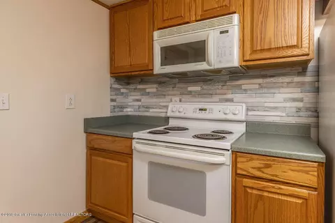 539 E Washington St, Dimondale, MI 48821 photo 16