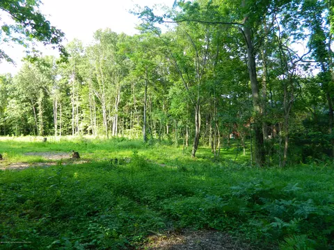 1925 Barry Rd, Williamston, MI 48895 photo 3