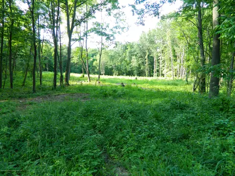 1925 Barry Rd, Williamston, MI 48895 photo 1