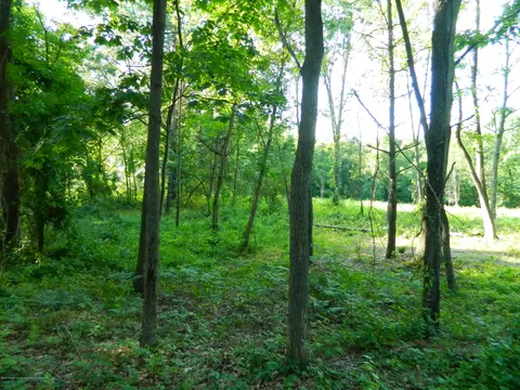 1925 Barry Rd, Williamston, MI 48895 photo 5