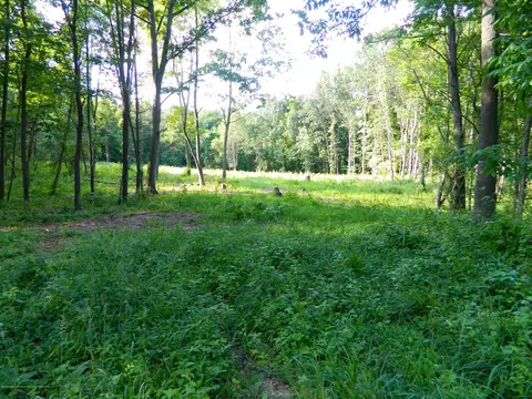 1925 Barry Rd, Williamston, MI 48895 photo 7