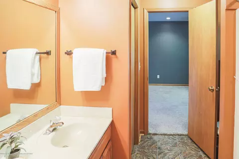 13351 Blackwood Dr, Dewitt, MI 48820 photo 17