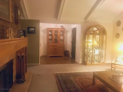 805 E Dill Dr, Dewitt, MI 48820 photo 26