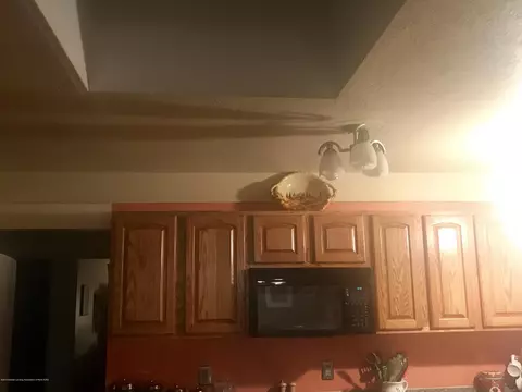 805 E Dill Dr, Dewitt, MI 48820 photo 79