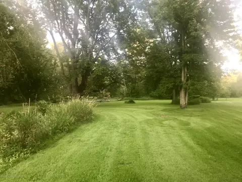 805 E Dill Dr, Dewitt, MI 48820 photo 17